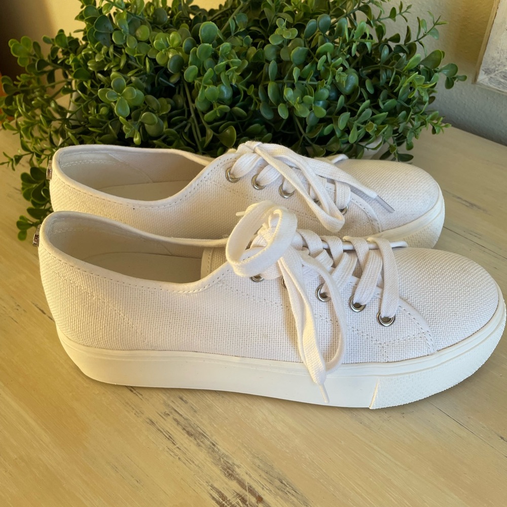 Steve Madden Elore White canvas Platform sneaker Sz 8.5